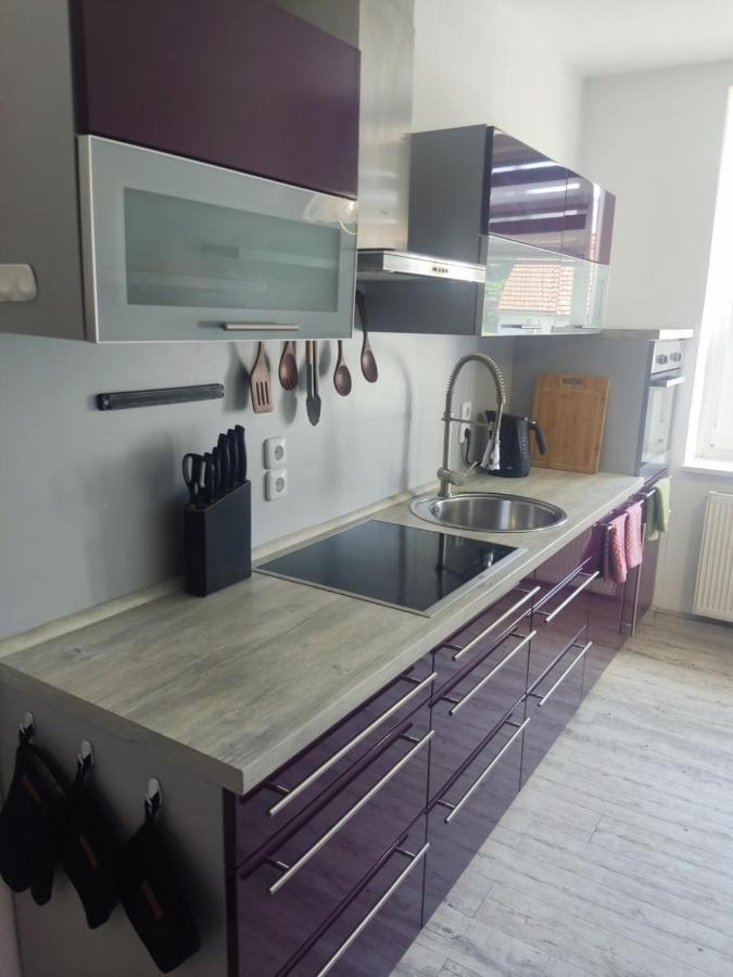 Bad Gottleuba Ferienwohnung 2 Am Hofladen Hellendorf מראה חיצוני תמונה